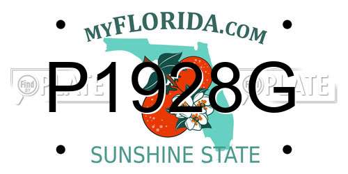 P1928G Florida License Plate