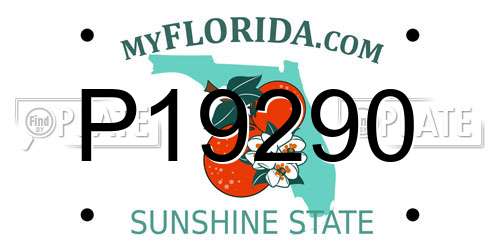 P19290 Florida License Plate
