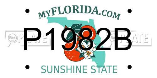 P1982B Florida License Plate