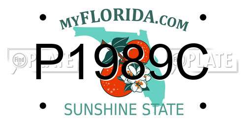 P1989C Florida License Plate