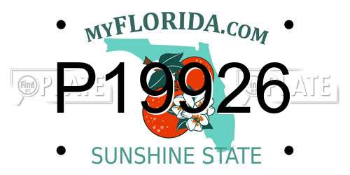 P19926 Florida License Plate