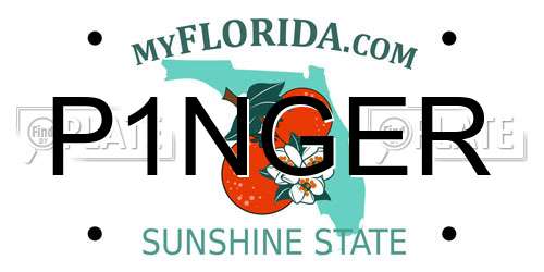 P1NGER Florida License Plate