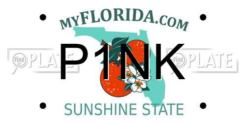 P1NK Florida License Plate