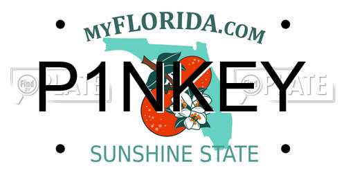 P1NKEY Florida License Plate