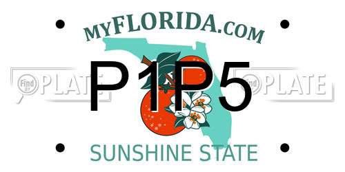 P1P5 Florida License Plate
