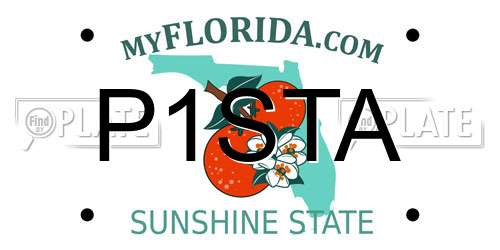 P1STA Florida License Plate