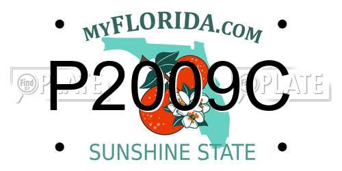 P2009C Florida License Plate
