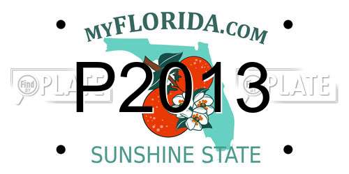 P2013 Florida License Plate