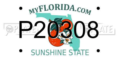 P20308 Florida License Plate
