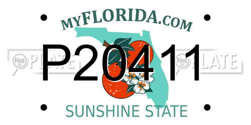 P20411 Florida License Plate
