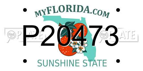 P20473 Florida License Plate