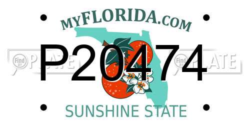 P20474 Florida License Plate