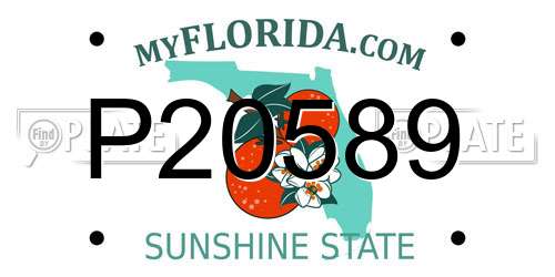 P20589 Florida License Plate