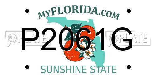 P2061G Florida License Plate