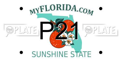 P21 Florida License Plate