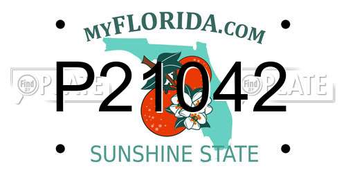 P21042 Florida License Plate