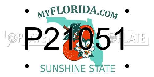 P21051 Florida License Plate