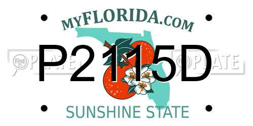 P2115D Florida License Plate