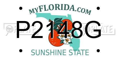 P2148G Florida License Plate