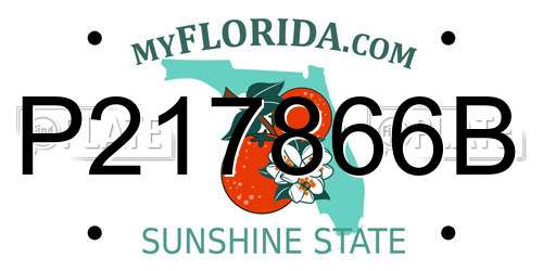 P217866B Florida License Plate