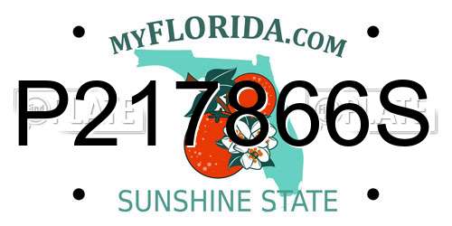P217866S Florida License Plate