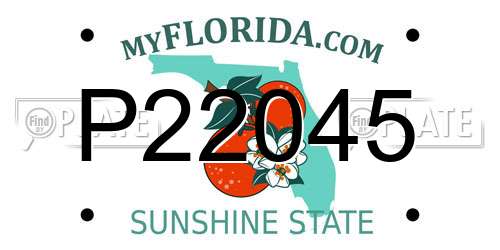 P22045 Florida License Plate