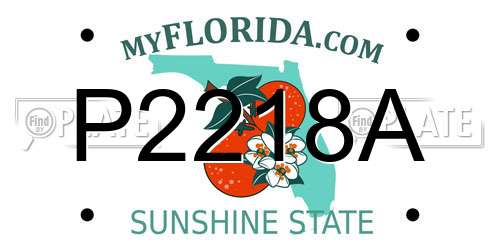 P2218A Florida License Plate