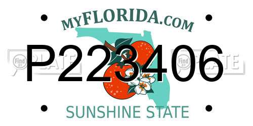 P223406 Florida License Plate