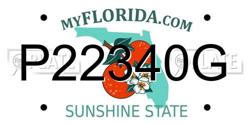 P22340G Florida License Plate