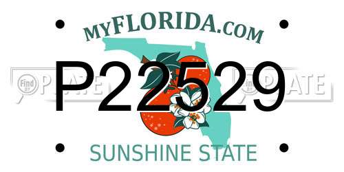 P22529 Florida License Plate