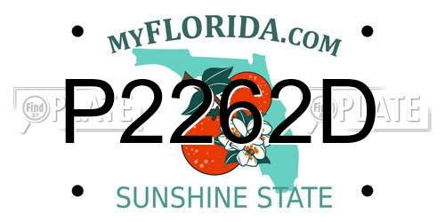 P2262D Florida License Plate