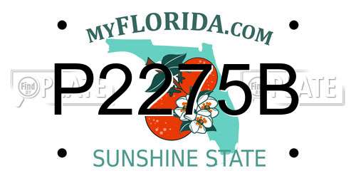 P2275B Florida License Plate