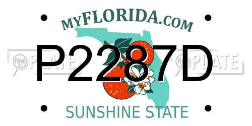 P2287D Florida License Plate