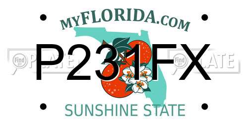 P231FX Florida License Plate