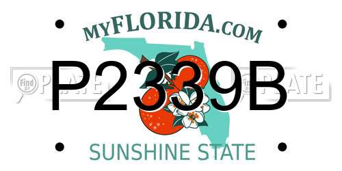 P2339B Florida License Plate