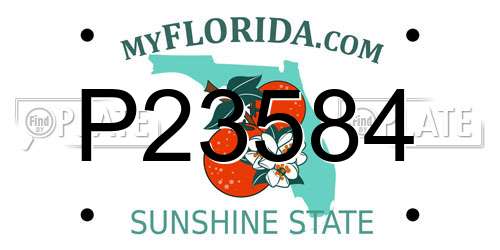 P23584 Florida License Plate