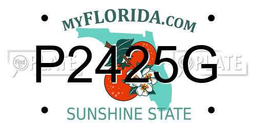 P2425G Florida License Plate