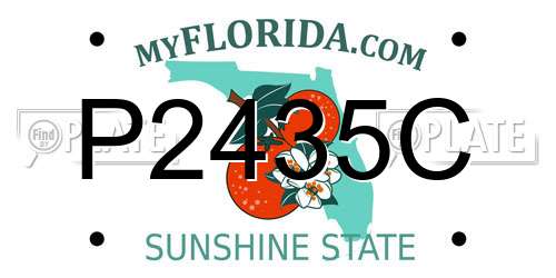 P2435C Florida License Plate