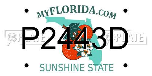 P2443D Florida License Plate