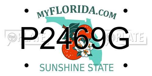 P2469G Florida License Plate