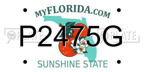 P2475G Florida License Plate