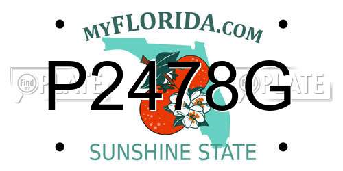 P2478G Florida License Plate