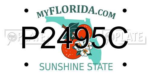 P2495C Florida License Plate