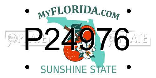 P24976 Florida License Plate