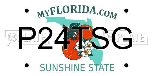 P24TSG Florida License Plate