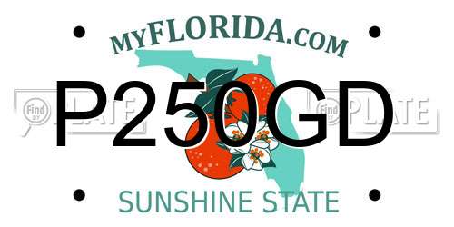 P250GD Florida License Plate