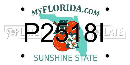 P2518I Florida License Plate