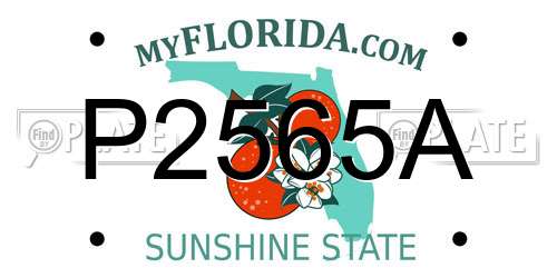 P2565A Florida License Plate