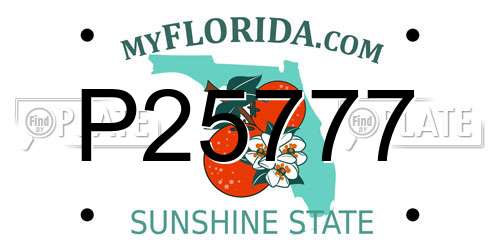 P25777 Florida License Plate
