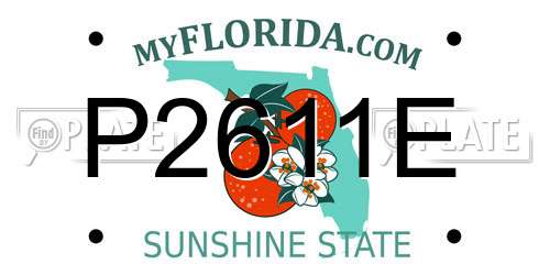 P2611E Florida License Plate